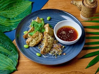 Pierozki gyoza z warzywami