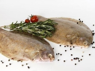Морський язик "Dover Sole"