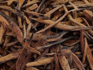 Да Дзинь Чжень 