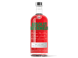 ABSOLUT Watermelon