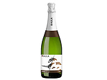 CAVA AULA/ Brut / Macabeo / Coviñas