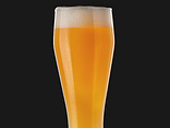 BEERKA Orange Elderberry Wheat