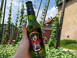 Meteor lager