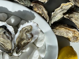 FRANCOUZSKÉ ÚSTŘICE 3 KUSY