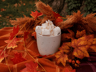 Gingerbread Cocoa