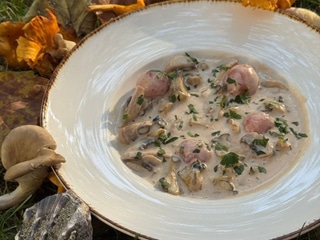 Rapana "mushroom surf"
