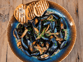 Mussels "forest cove"