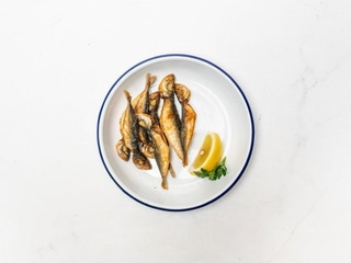 Horse Mackerel