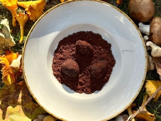 "Forest mushroom" truffles