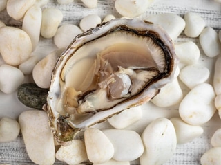 Устриця Спеціаль Шаллер №2