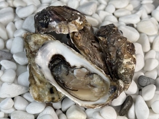 Устриця Bouziques №3