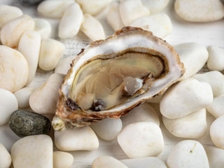 Устриця Шато Олерон №3