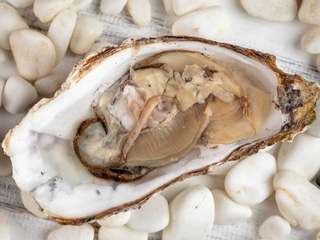 Устриця Нормандія XL