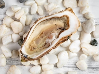 Устриця Фін де Клер №0