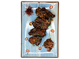 Ребра  BBQ