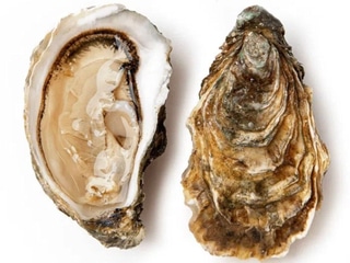 Святий патрік №2