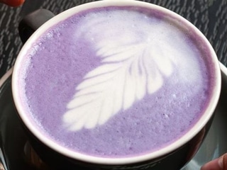 Ube latte