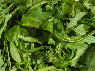 Мікс салату