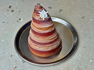 Ялинка з цитрусовим кюлі і маскарпоне 