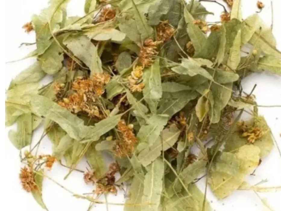 Чай липовий