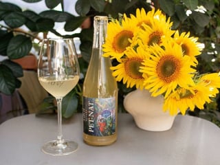 🇺🇦  Gigi Winery Pet-Nat Muscat Ottonel Brut Nature, ігристе, брют-натюр