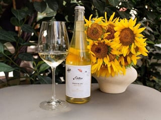🇺🇦 Пет-Нат Піно Блан, Chateau Pinot, напівігристе, екстра-брют