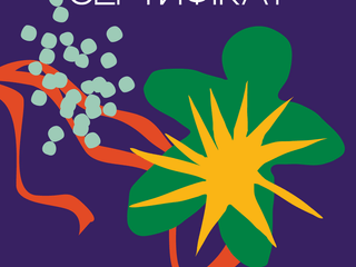 Різдвяний сертифікат