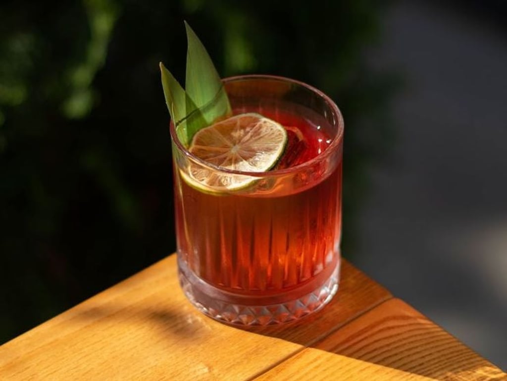 Finlandia Citrus Negroni