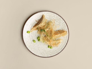 116 b) “GYOZA”ZAPEKANÉ TAŠTIČKY PLNENÉ BRAVČOVÝM MÄSOM 4 KS