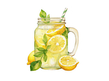 GINGER LEMON 0,5L