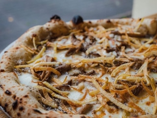 Mokry Sen Leśniczego