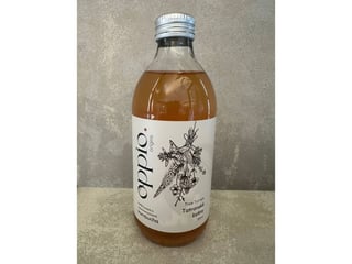 Kombucha Tatranské byliny