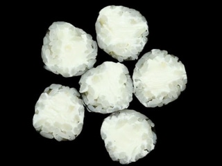 Hosomak Serek Philadelphia