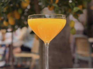 Mimosa Zero