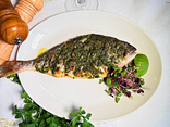 Grilled dorado with gremolata sauce