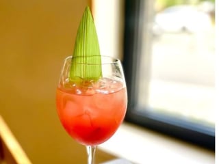 Watermelon Spritz