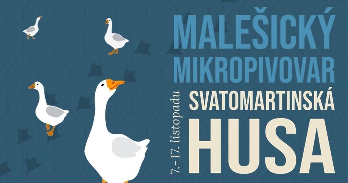 Bez názvu (129).JPG