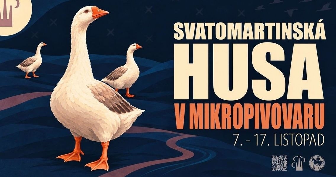 titulka.jpg