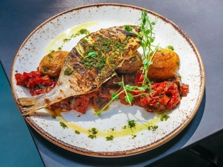 GRILLOWANA DORADA 