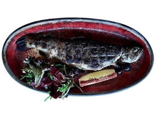 Форель на грилі