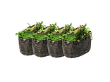 Wakame gunkan | 4 pcs
