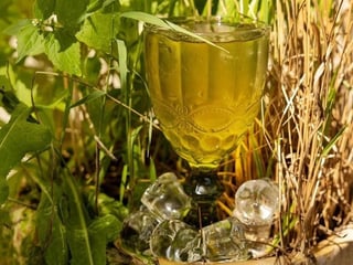 Келих прохолодної комбучі