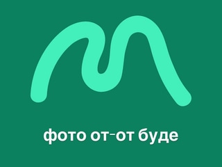 Айс Матча лате на рослинному