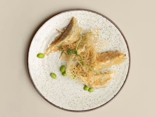 Gyoza zapekané taštičky plnené  bravčovým mäsom
