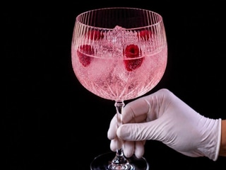 Malinový Gin Tonic