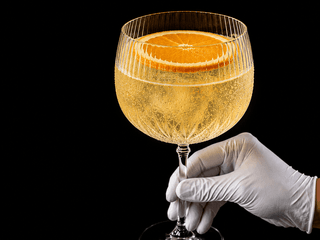 Pomerančový gin tonic