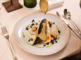 Filet z morského vlka