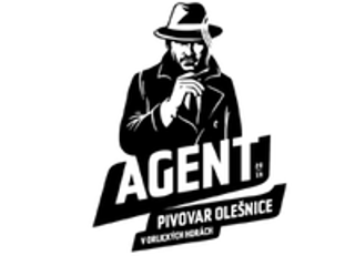 AGENT STYLISH GIRL 13°