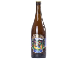 Matuška Florida 10° Florida Pale Ale 0,75L