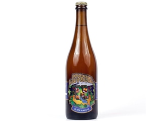 Matuška Zlatá Raketa 17° IPA 0,75L
